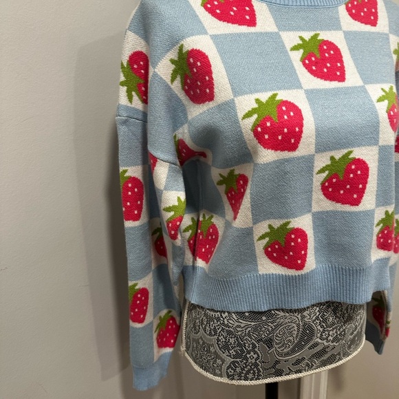 NWT Luna Ivy Anthropologie Strawberry and Blue Checker. Crew Neck Oversized Sm - Picture 12 of 16